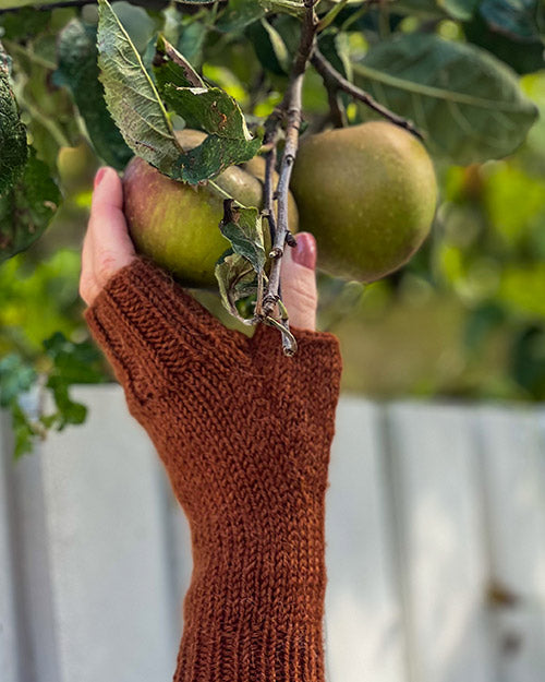 Half Season Mittens