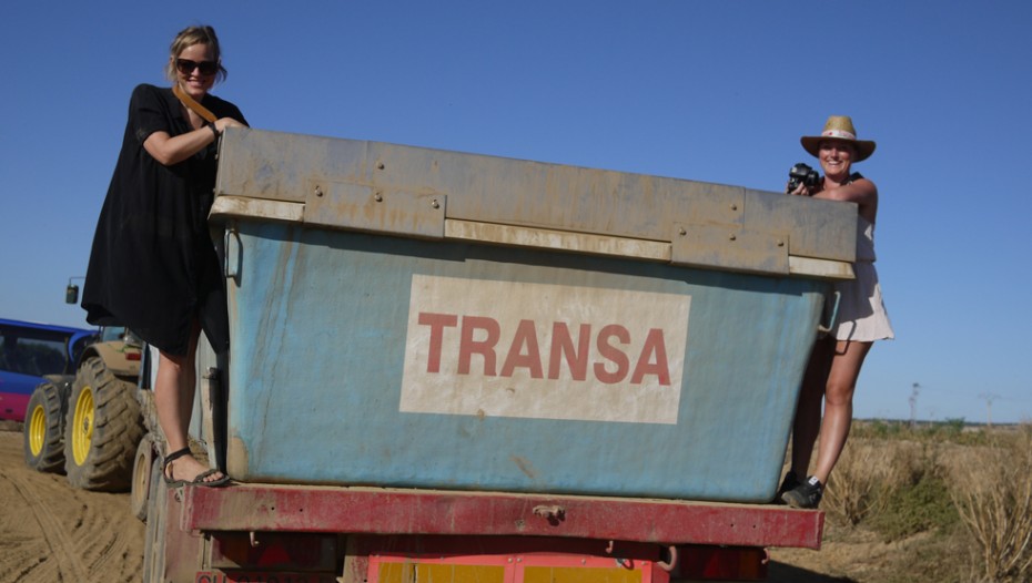 Knorr bæredygtighed Transa