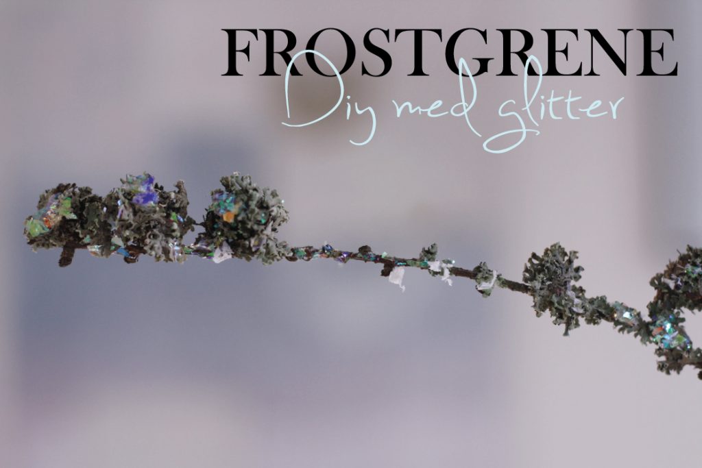 DIY - Smukke grene med glitrende frost