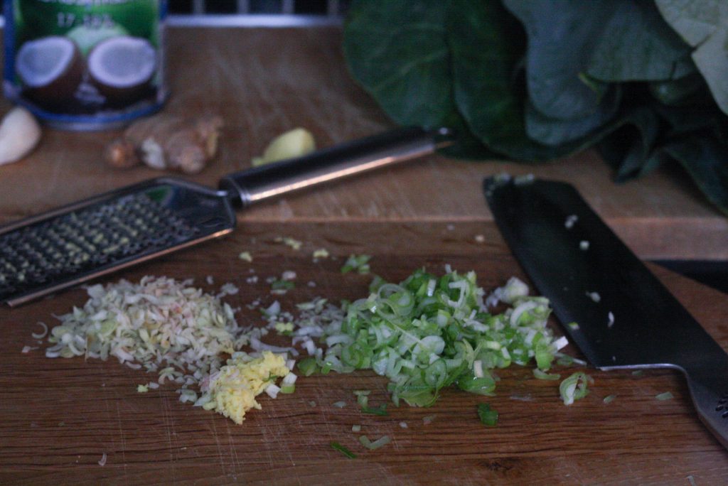 Lær at lave thaimad og en opskrift på spicydip