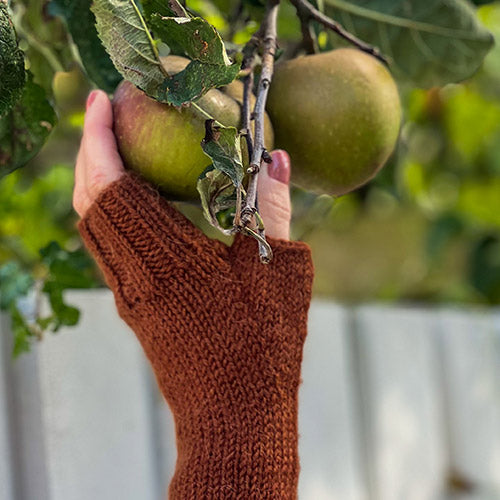 Half Season Mittens